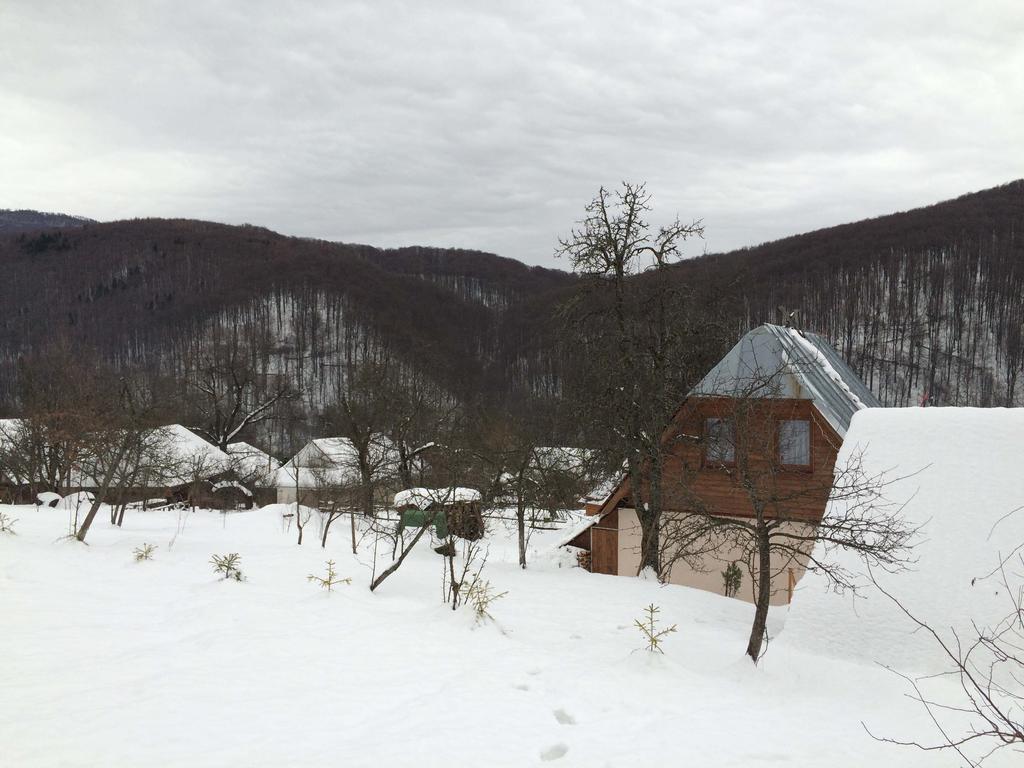У Сергія Casa de hóspedes Lumshory Exterior foto