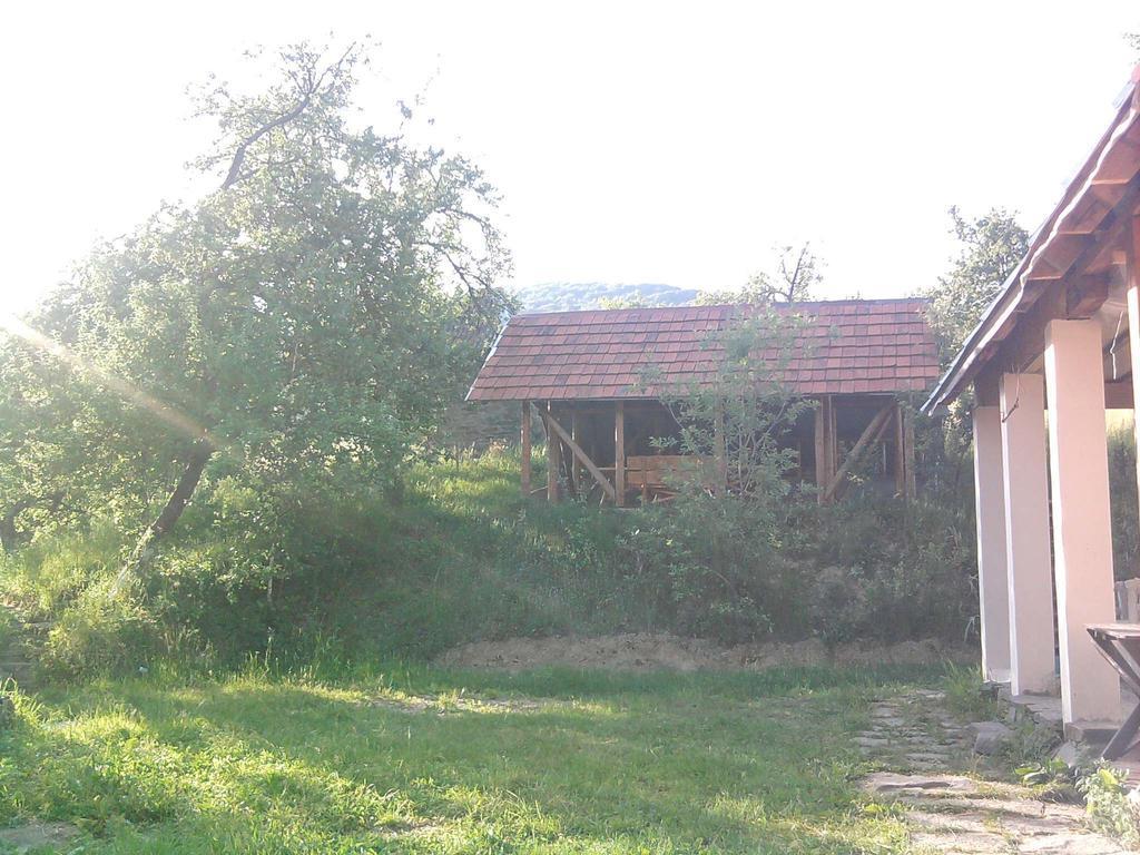 У Сергія Casa de hóspedes Lumshory Quarto foto